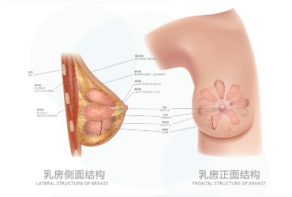 淮安產(chǎn)后乳房修復(fù)